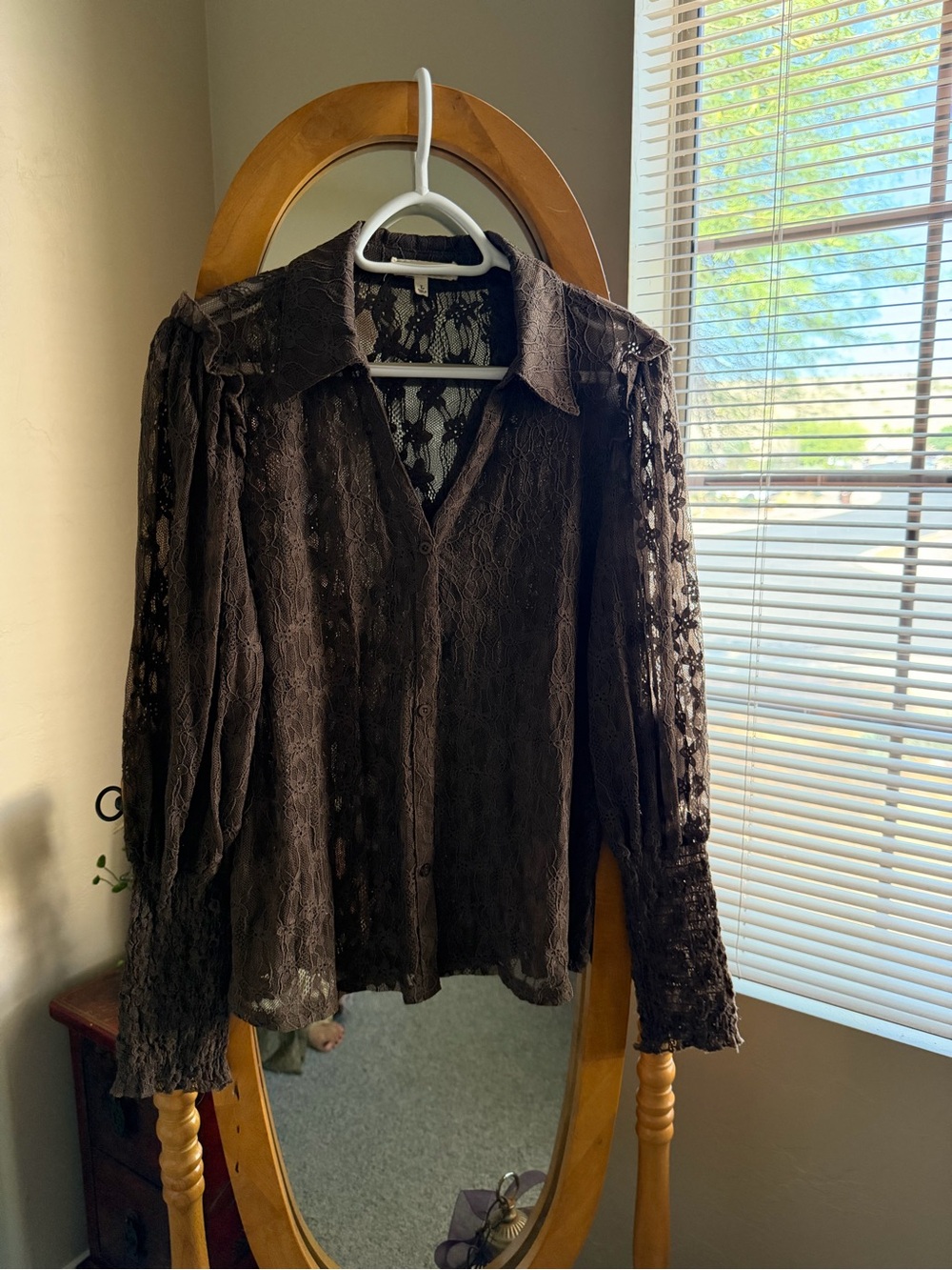 Amber Skies Brown Lace Button-Front Blouse